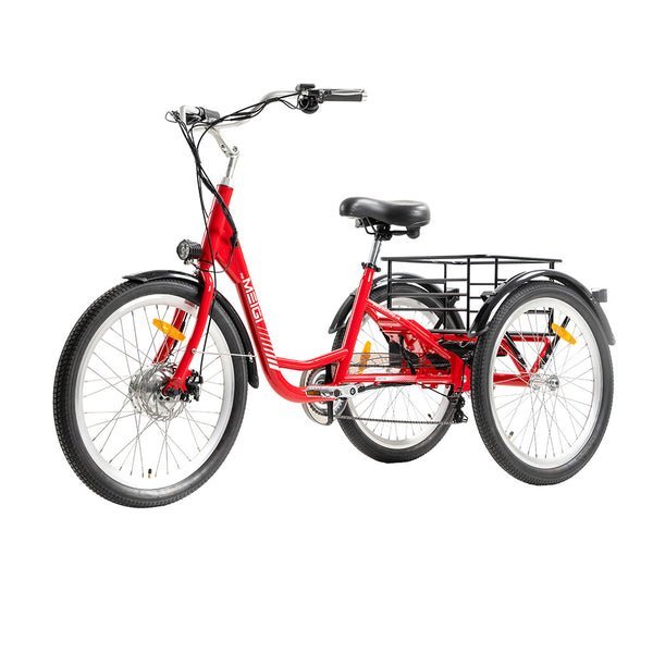 DWMEIGI Hera MG708 350W 36V/15Ah Electric Tricycle - Image 2