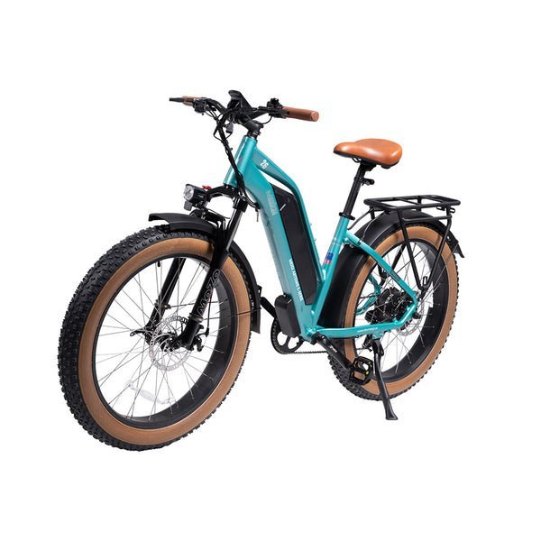 DWMEIGI MG8714-ARTEMIS 750W 48V/16Ah Step-Thru Fat Tire Mountain Electric Bike - Image 2
