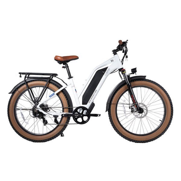 DWMEIGI MG8714-ARTEMIS 750W 48V/16Ah Step-Thru Fat Tire Mountain Electric Bike - Image 3