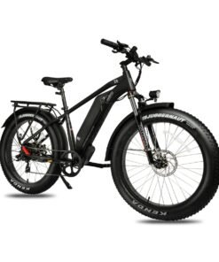 Alternative view of DWMEIGI Pegasus 48V/16Ah 750W Fat Tire Electric Bike