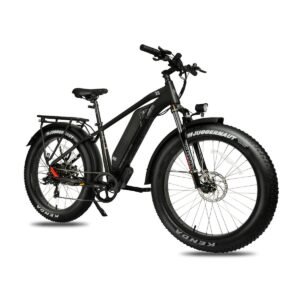 Alternative view of DWMEIGI Pegasus 48V/16Ah 750W Fat Tire Electric Bike
