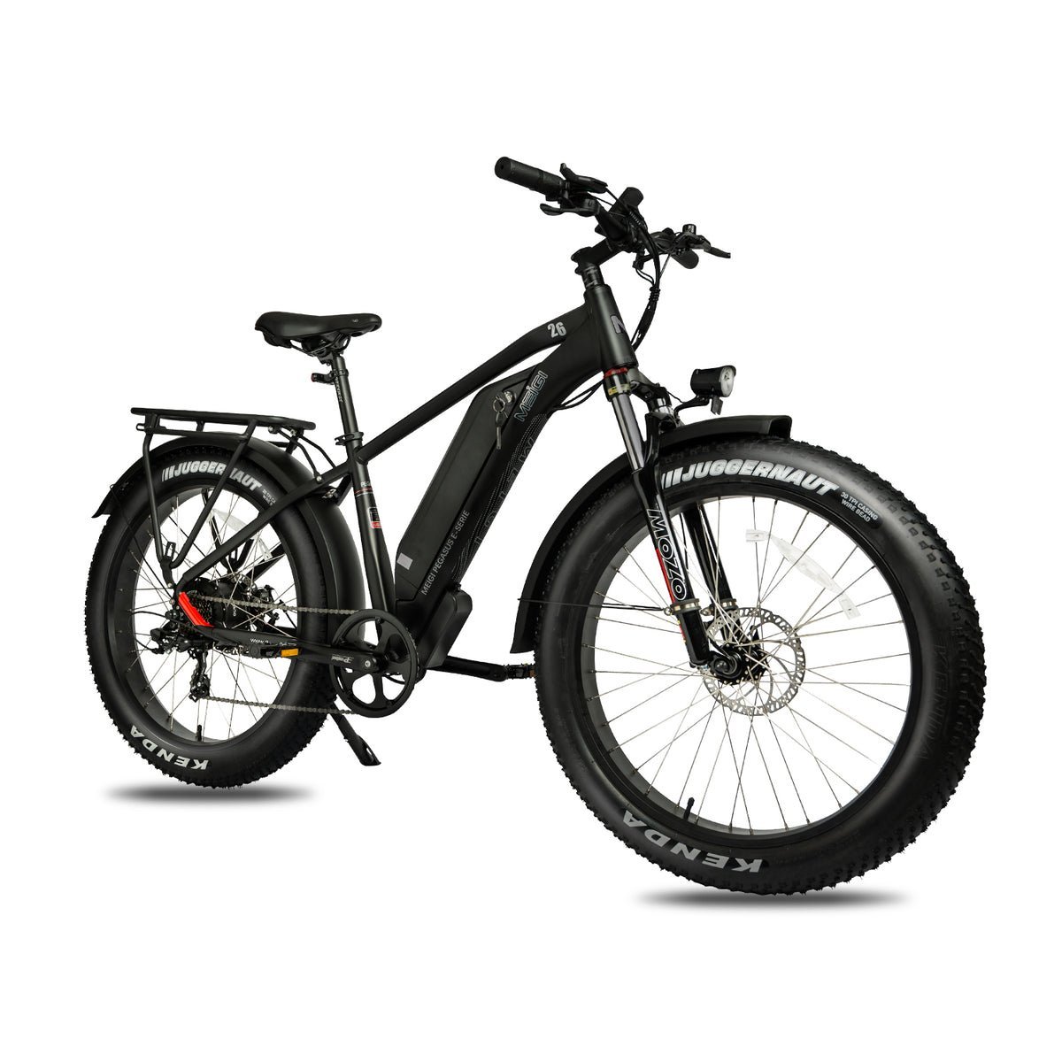 DWMEIGI Pegasus 48V/16Ah 750W Fat Tire Electric Bike - Image 2