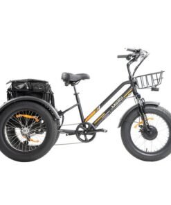 DWMEIGI Zeus MG1703 750W 48V/18.2Ah Fat Tire Electric Trike
