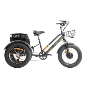 DWMEIGI Zeus MG1703 750W 48V/18.2Ah Fat Tire Electric Trike