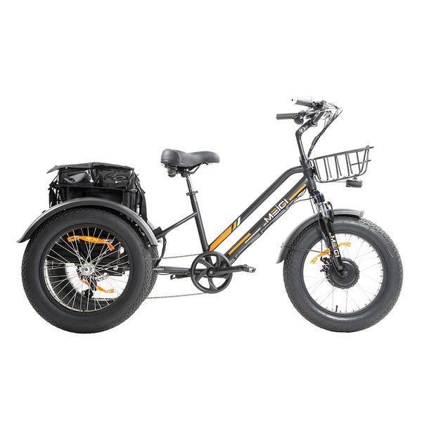 DWMEIGI Zeus MG1703 750W 48V/18.2Ah Fat Tire Electric Trike