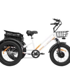 Alternative view of DWMEIGI Zeus MG1703 750W 48V/18.2Ah Fat Tire Electric Trike