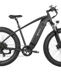 Alternative view of DYU King 750 48V/20Ah 750W Fat Tire Electric Bike