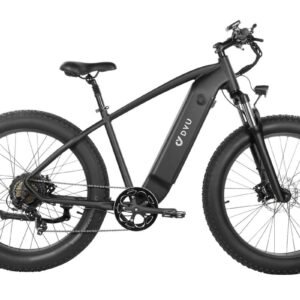 Alternative view of DYU King 750 48V/20Ah 750W Fat Tire Electric Bike