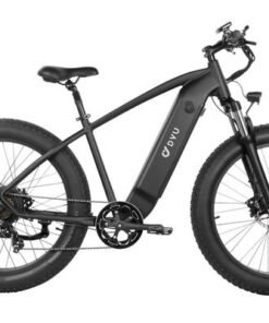 DYU King 750 48V/20Ah 750W Fat Tire Electric Bike
