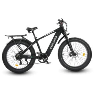 Alternative view of Ecotric Explorer 26