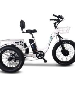 Emojo Caddy 500W 48V Fat Tire Electric Tricycle