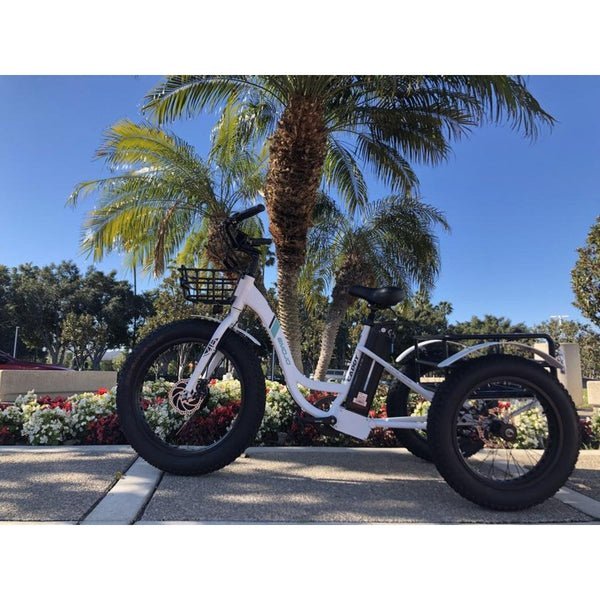 Emojo Caddy 500W 48V Fat Tire Electric Tricycle - Image 2