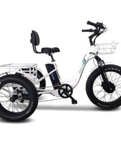 Emojo Caddy Pro 500W 48V Fat Tire Electric Tricycle