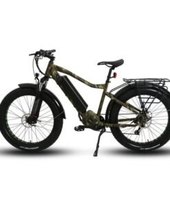 EUNORAU FAT-HD 1000W 48V Fat Tire Mountain Electric Bike