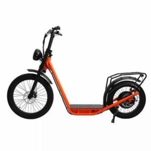 Eunorau Jumbo 48V/15.6Ah 1000W Stand Up Electric Scooter
