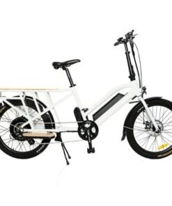 Alternative view of EUNORAU MAX-CARGO Cargo 750W, 48V Cargo Electric Bike