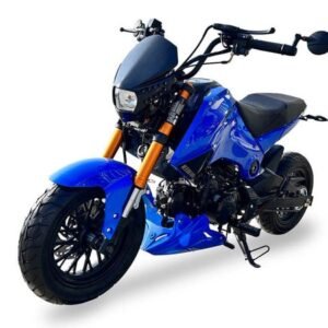 Fuerza 125cc Motorcycle, 4-Speed Manual, Dual Disc Brakes, 12 inch Aluminum Wheels, 50 State Legal – Metallic Blue