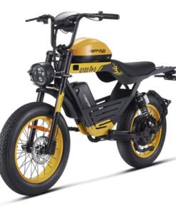 HappyRun G100 Pro 72V/33Ah 6000W Electric Bike