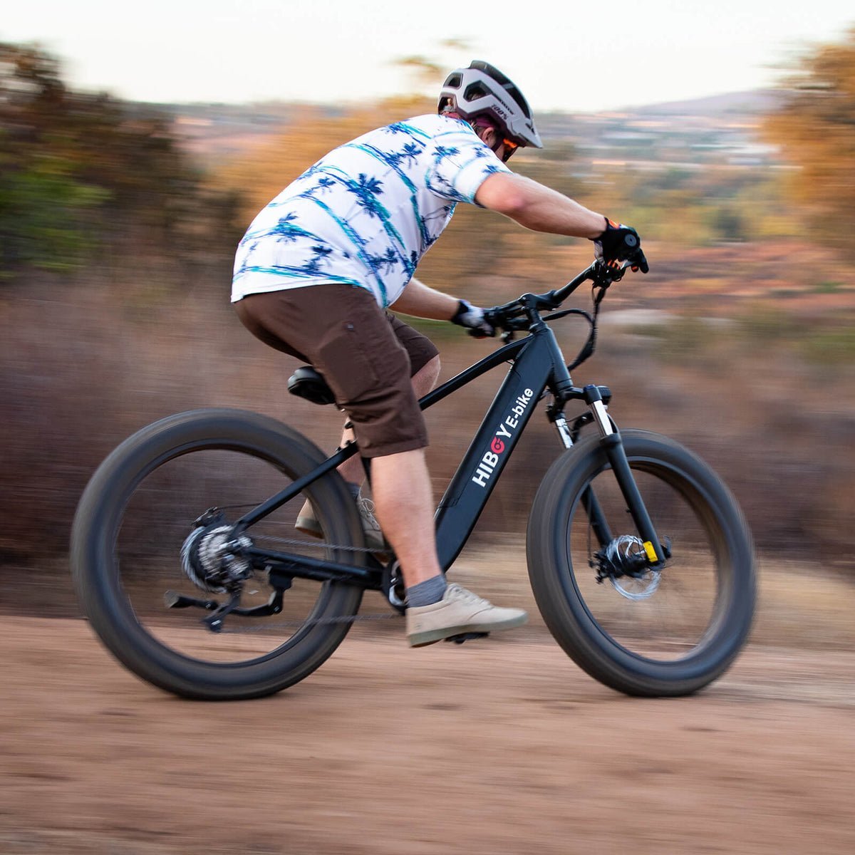 Hiboy P6 48V/11.6Ah 750W Fat Tire Electric Bike - Image 4