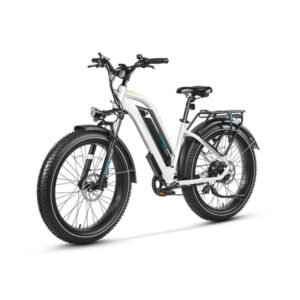Alternative view of Magicycle 750W 52V Cruiser Mid Step-Thru All Terrain Fat Tire Electric Bike