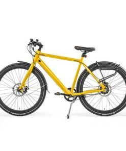 Magicycle Commuter 350W 52V Step Over Lightweight Cruiser Electric Bike