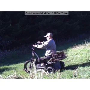 Alternative view of MotoTec Electric Trike 48v 1200w