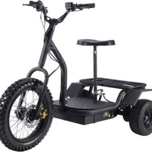 MotoTec Electric Trike 48V/24Ah 1200W