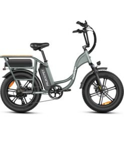 Mukkpet Breeze 750W 48V, Dual Battery, Step-Thru Cargo Utility Electric Bike