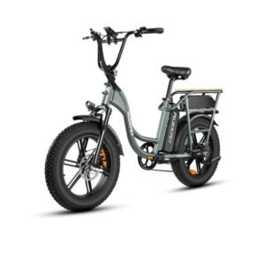 Alternative view of Mukkpet Breeze 750W 48V, Dual Battery, Step-Thru Cargo Utility Electric Bike
