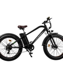 NAKTO Cruiser 2 48V/12Ah 750W Fat Tire Electric Bike