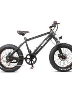 NAKTO Discovery 48V/10Ah 350W Fat Tire Electric Bike