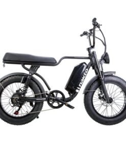 NAKTO F2 48V/16Ah 500W/750W Fat Tire Electric Bike