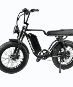 Nakto F2 Cruiser 750W 48V Electric Bike