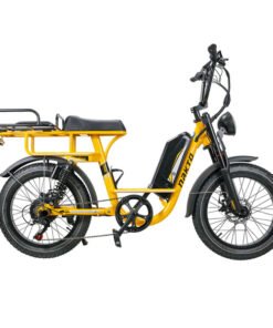 NAKTO F4 48V/20Ah 750W Electric Bike