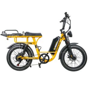 NAKTO F4 48V/20Ah 750W Electric Bike
