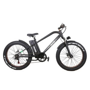 Alternative view of NAKTO Super Cruiser 48V/12Ah 750W Electric Bike