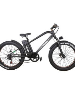 NAKTO Super Cruiser 48V/12Ah 750W Electric Bike