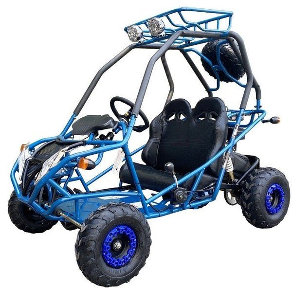 PGO 200GVA Kids Gas Go Kart, 6.5hp 196cc engine with Electric Start, Automatic Torque Converter with Reverse, Kids Ages 7-12 – Blue