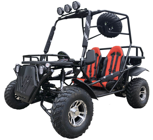 Rancher 200DLX Buggy Go Kart, Electric Start, Automatic with Reverse, 10-inch Deluxe Alloy Wheels, Ages 16 and up – Black