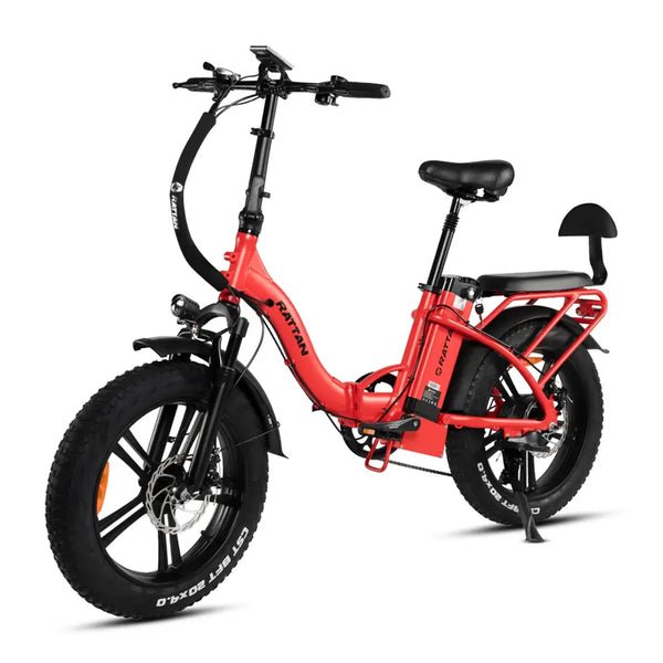 Rattan LF-750 Pro Step-Thru Fat Tire, 750W 48V, Folding Electric Bike - Image 3