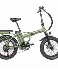 Rattan LM 750 PRO Folding 750W 48V Fat Tire Electric Bike