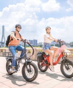 Alternative view of Rattan LM 750 PRO Folding 750W 48V Fat Tire Electric Bike