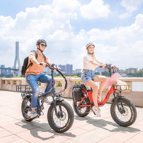 Rattan LM 750 PRO Folding 750W 48V Fat Tire Electric Bike - Image 2