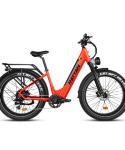 Rattan Pathfinder ST 750W 48V Mountain Electric Bike