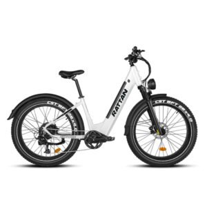 Alternative view of Rattan Pathfinder ST 750W 48V Mountain Electric Bike