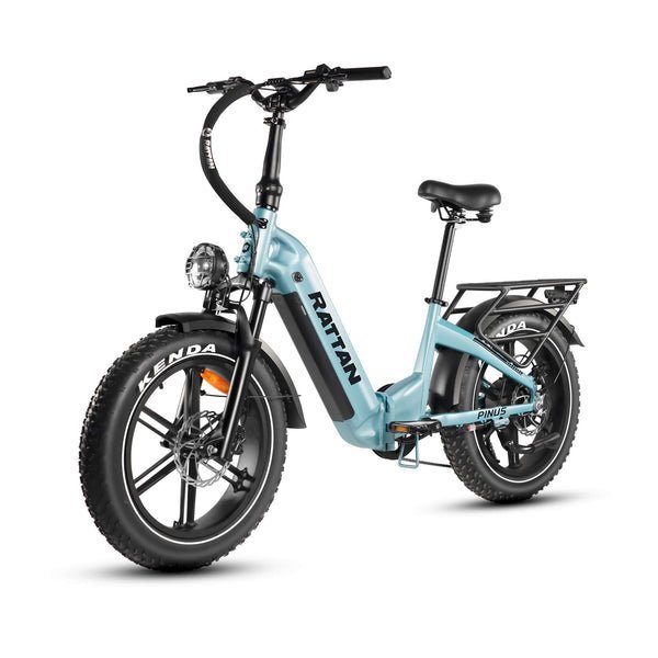 Rattan Pinus 750W 48V Step Through Fat Tire Electric Bike - Image 2