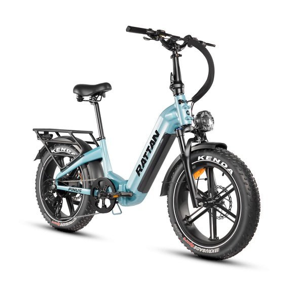 Rattan Pinus 750W 48V Step Through Fat Tire Electric Bike - Image 3