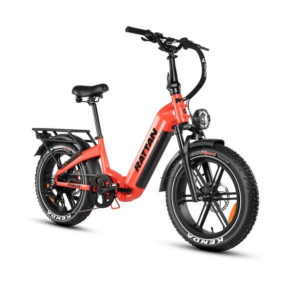 Rattan Pinus 750W 48V Step Through Fat Tire Electric Bike
