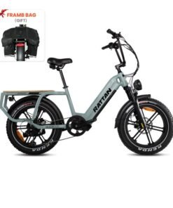 Rattan Quercus Fat Tire 750W 48V Cargo Electric Bike