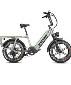 Alternative view of Rattan Quercus Fat Tire 750W 48V Cargo Electric Bike
